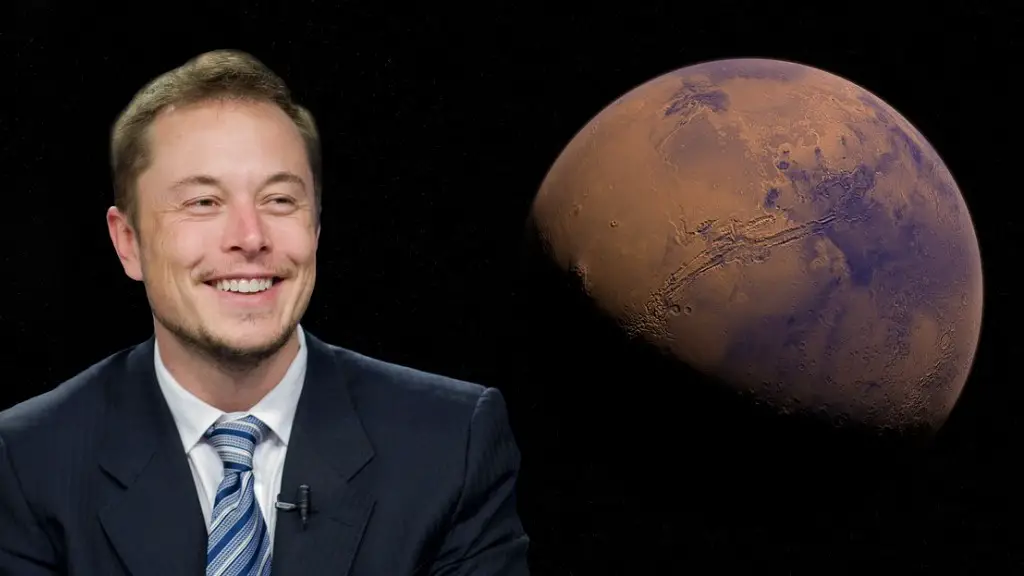 What did elon musk say to elizabeth warren?