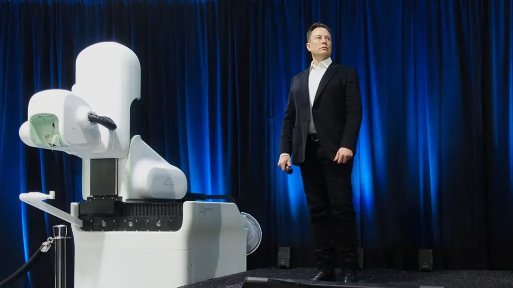 How Does Elon Musk Avoid Tax